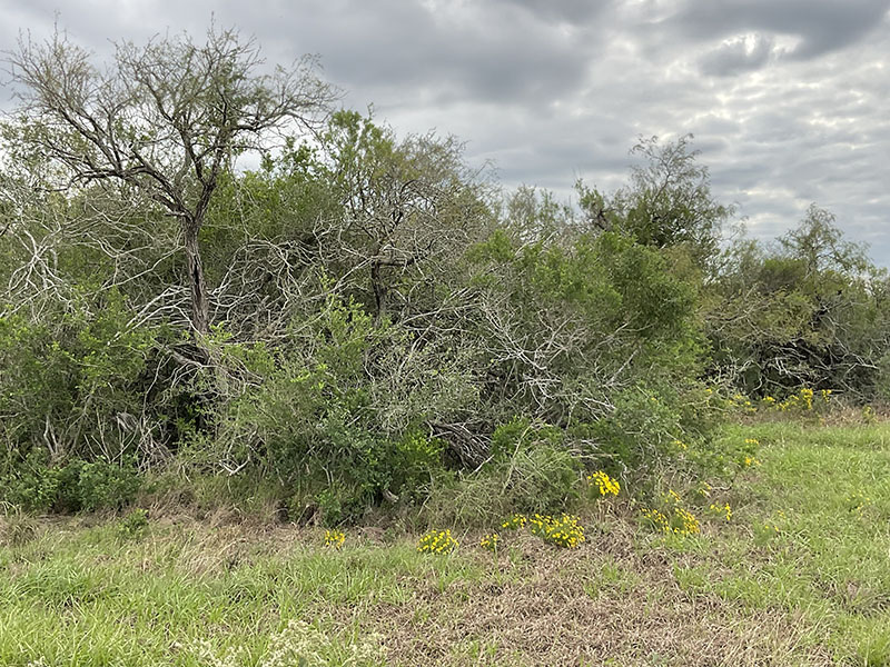 Tract Image - 1