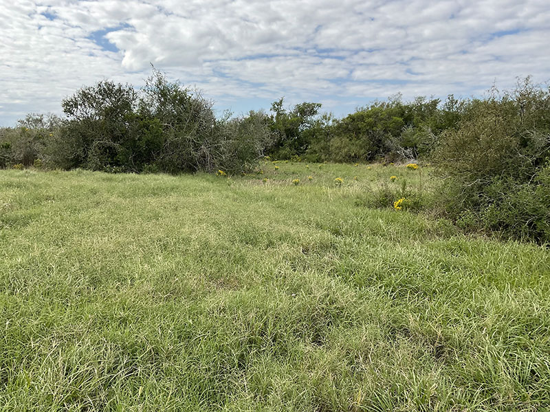 Tract Image - 3