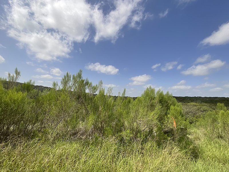 Tract Image - 9