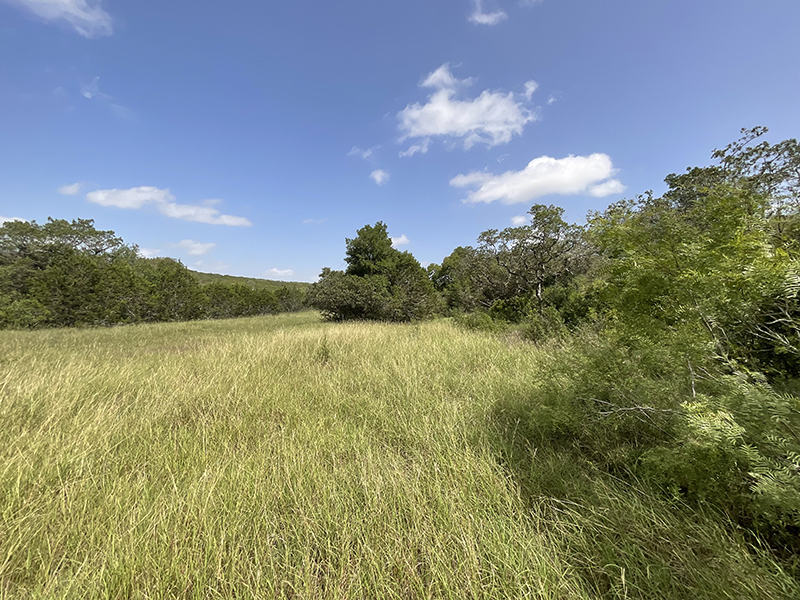 Tract Image - 17