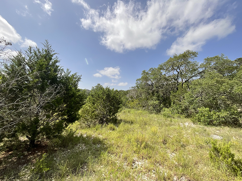 Tract Image - 19
