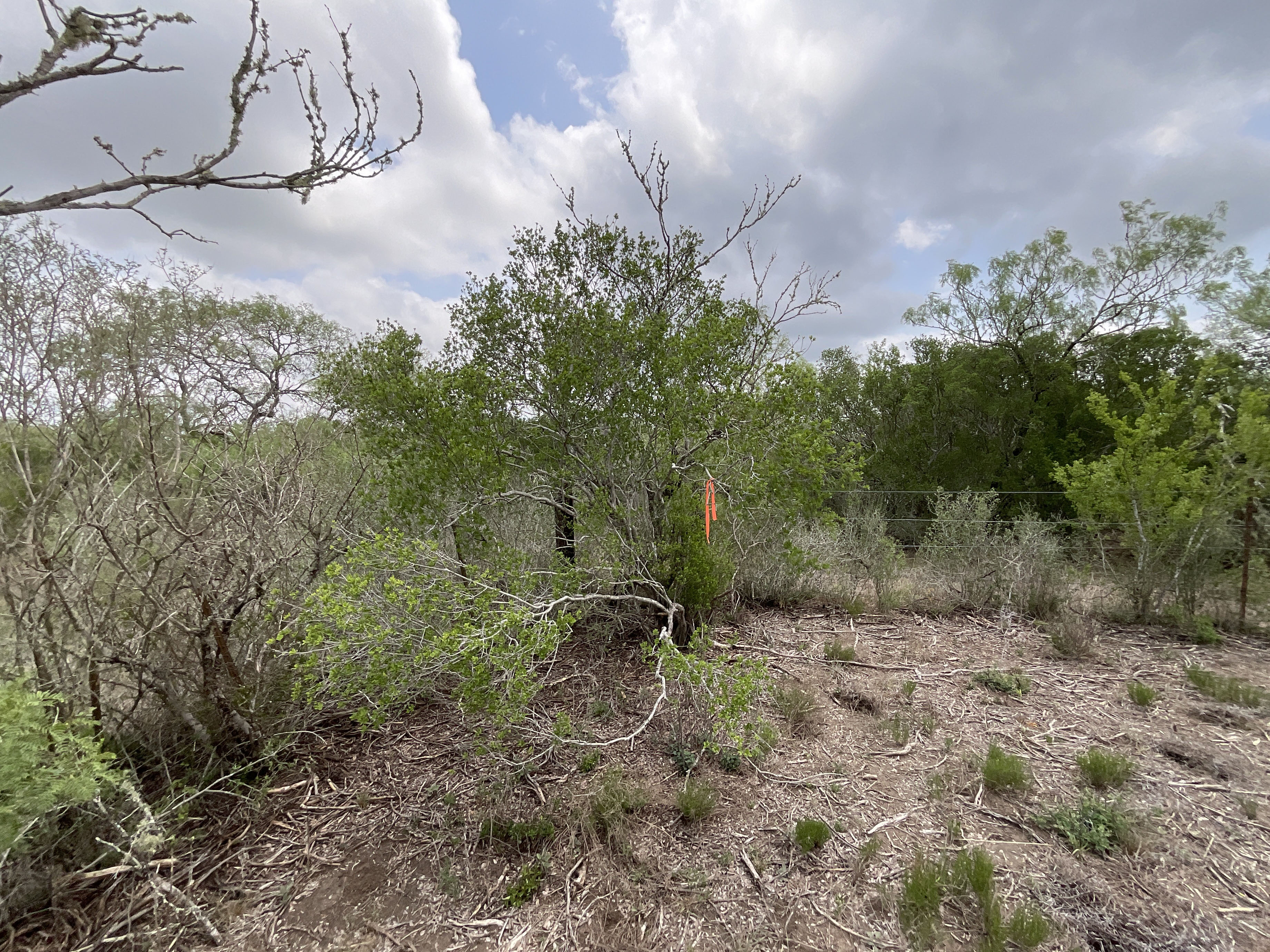 Tract Image - 2