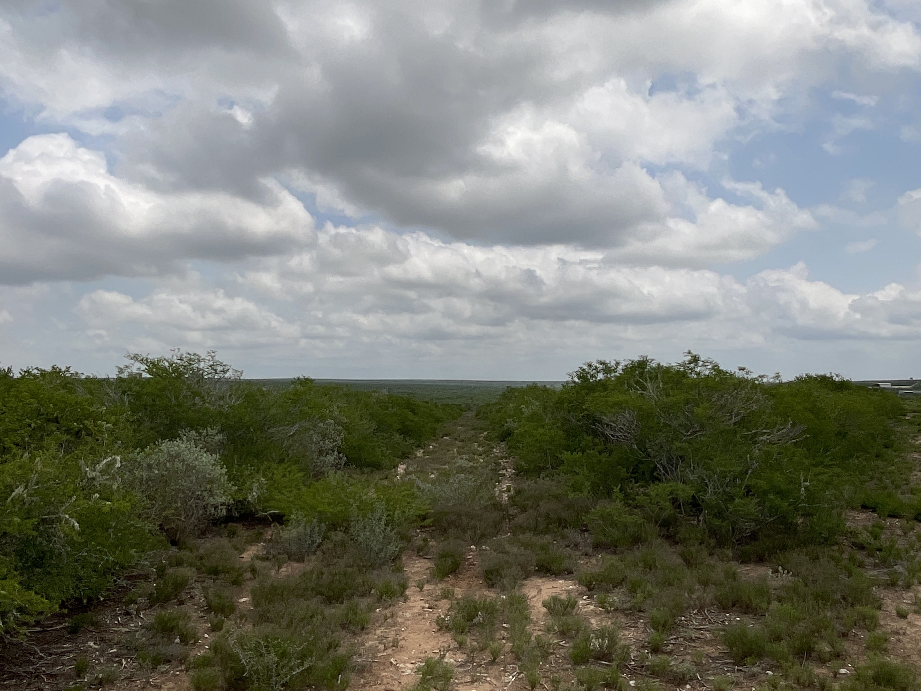 Tract Image - 12