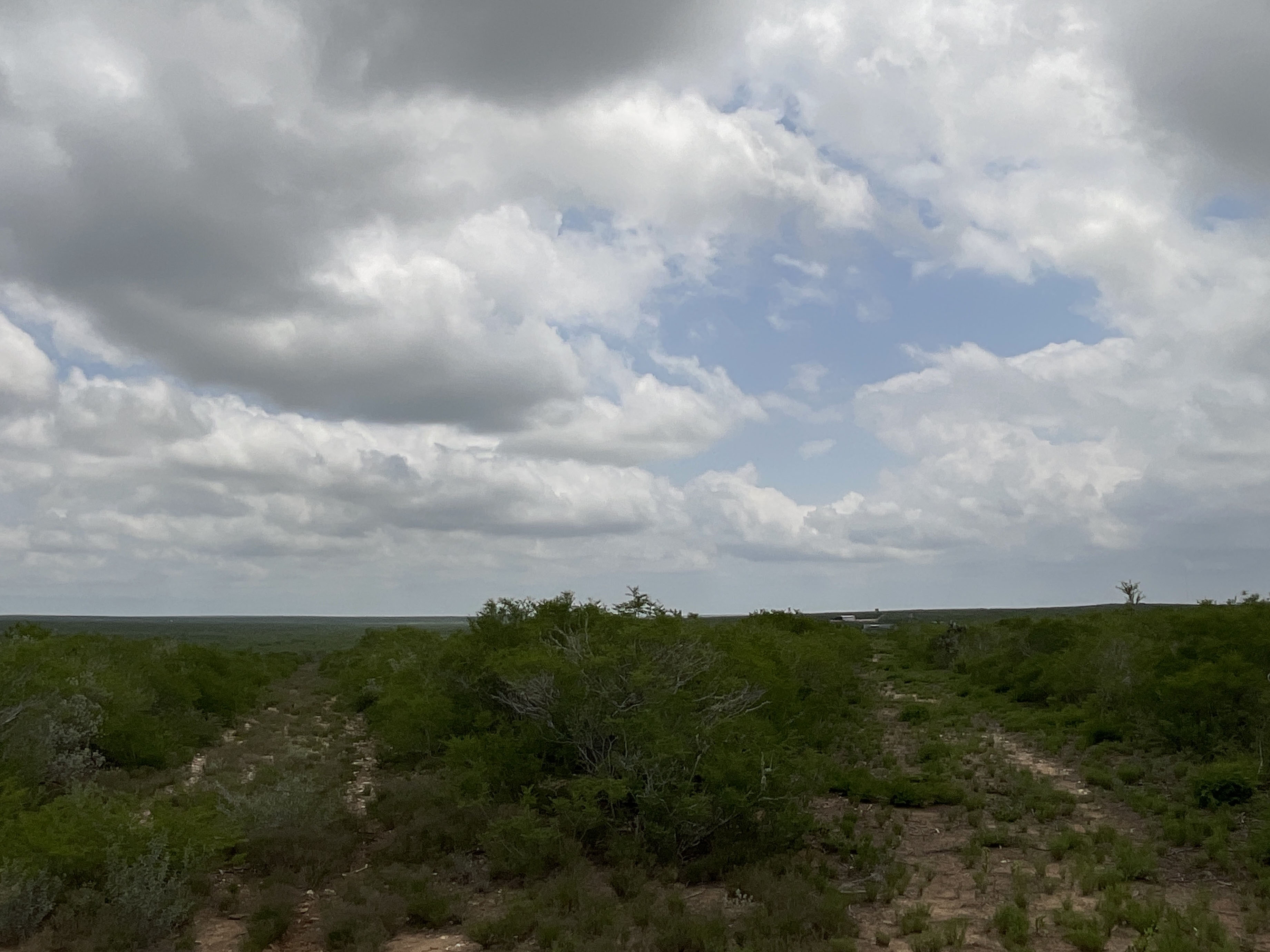 Tract Image - 13