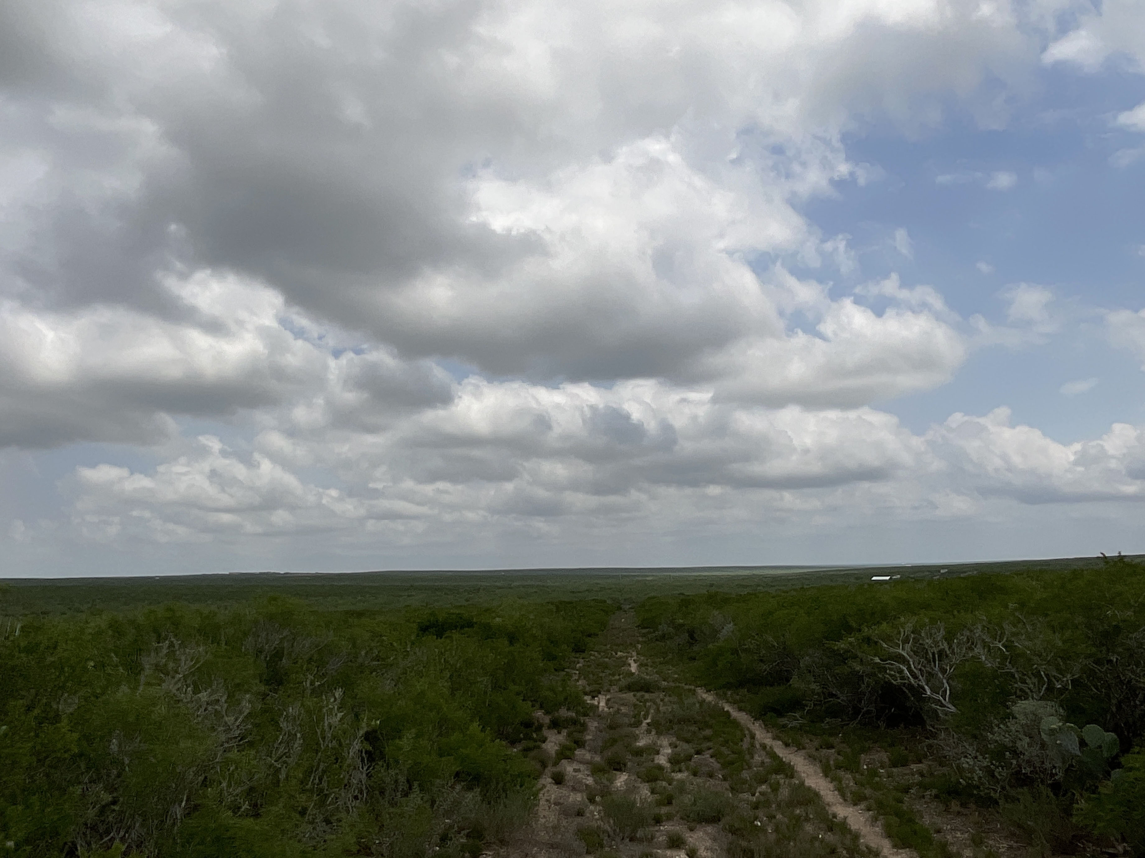 Tract Image - 14