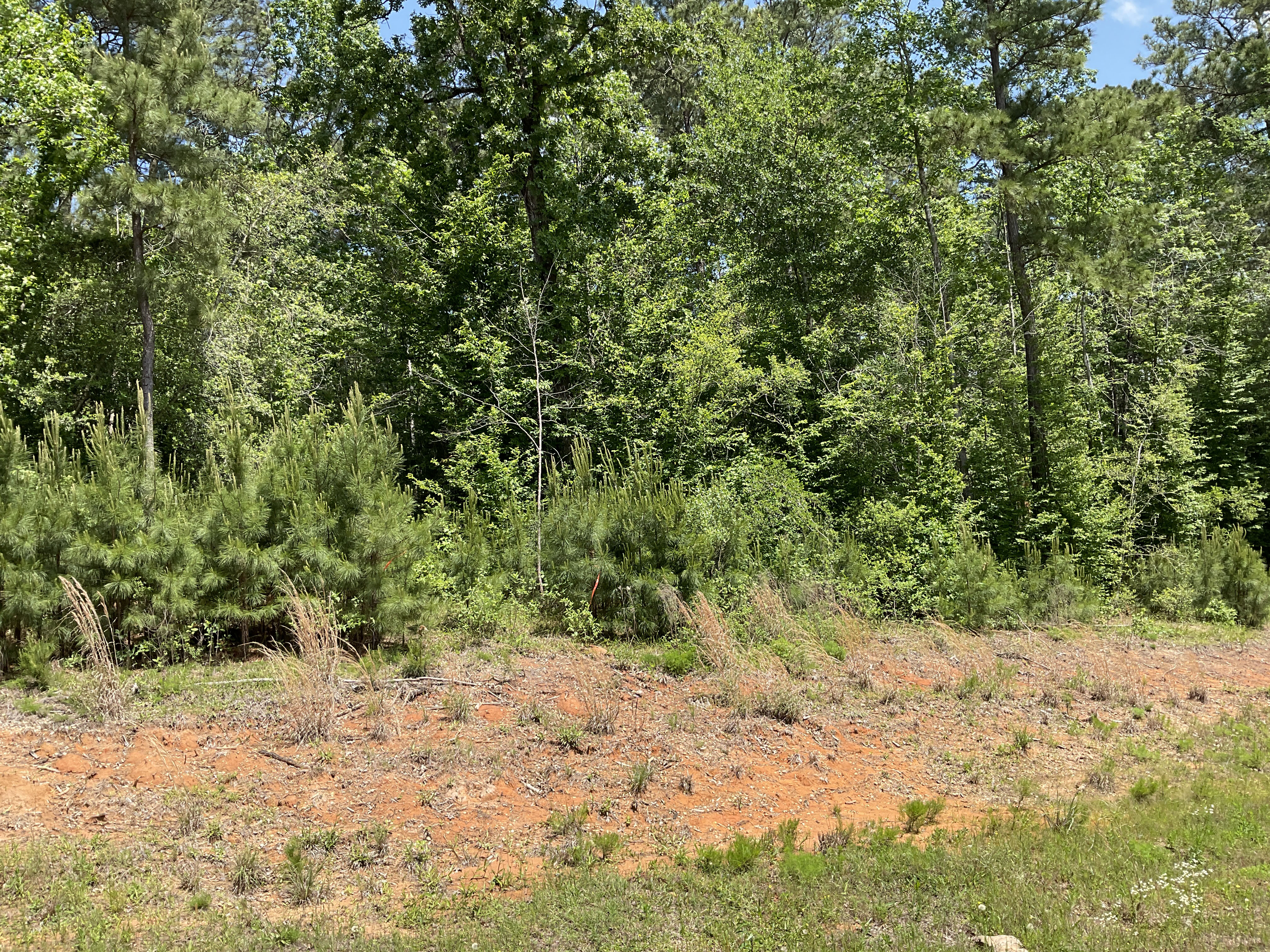 Tract Image - 3
