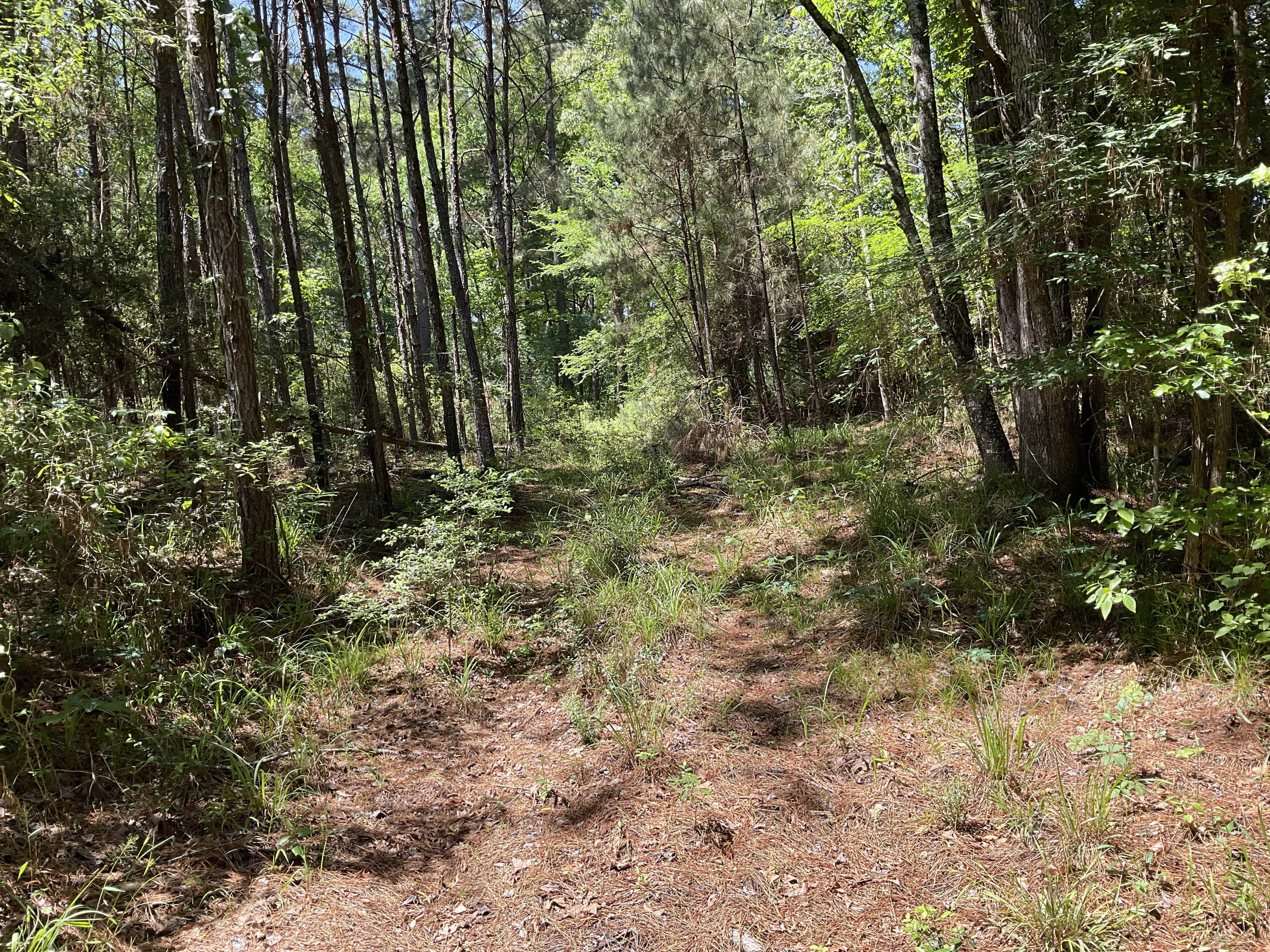 Tract Image - 5