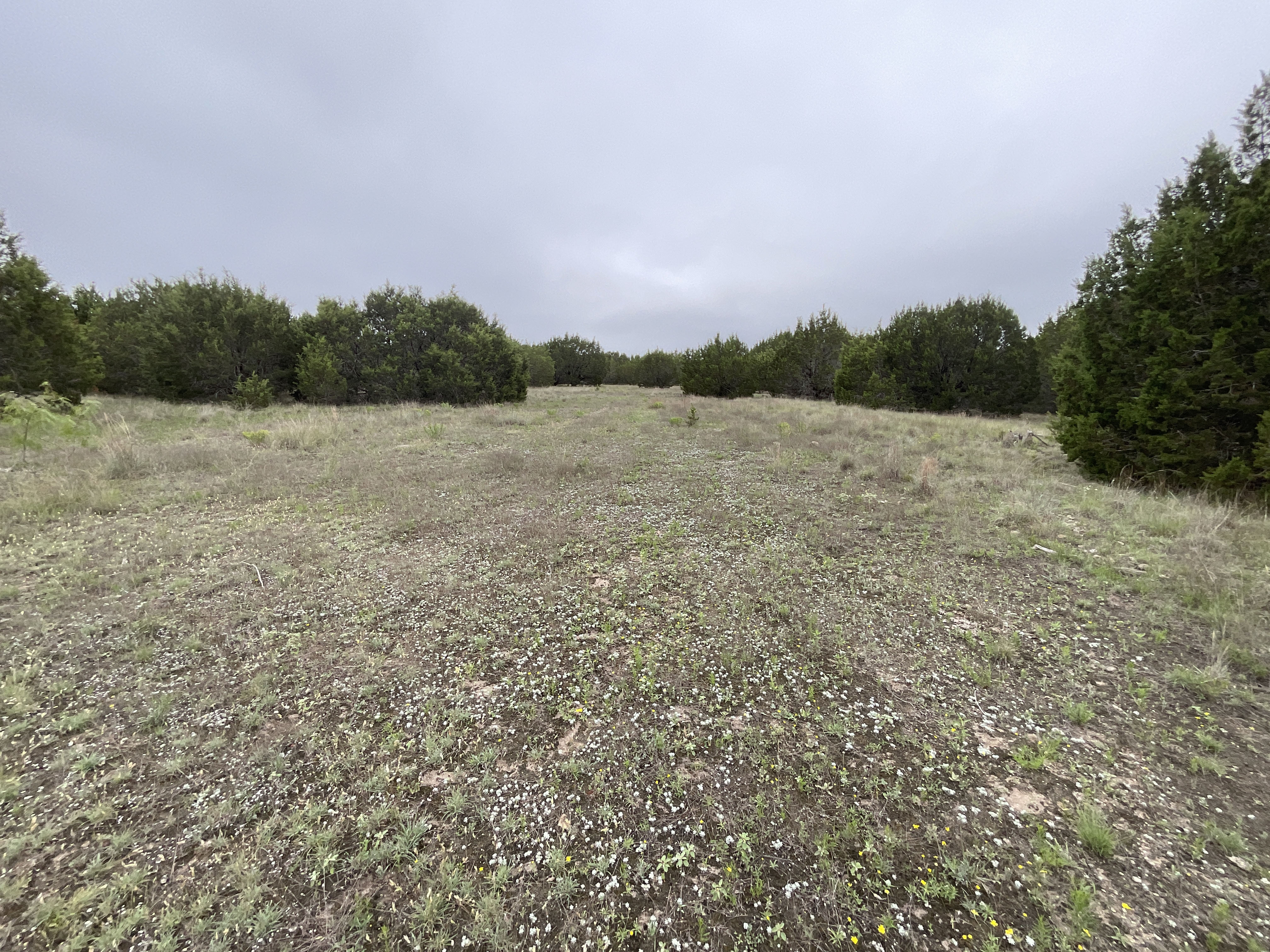 Tract Image - 11
