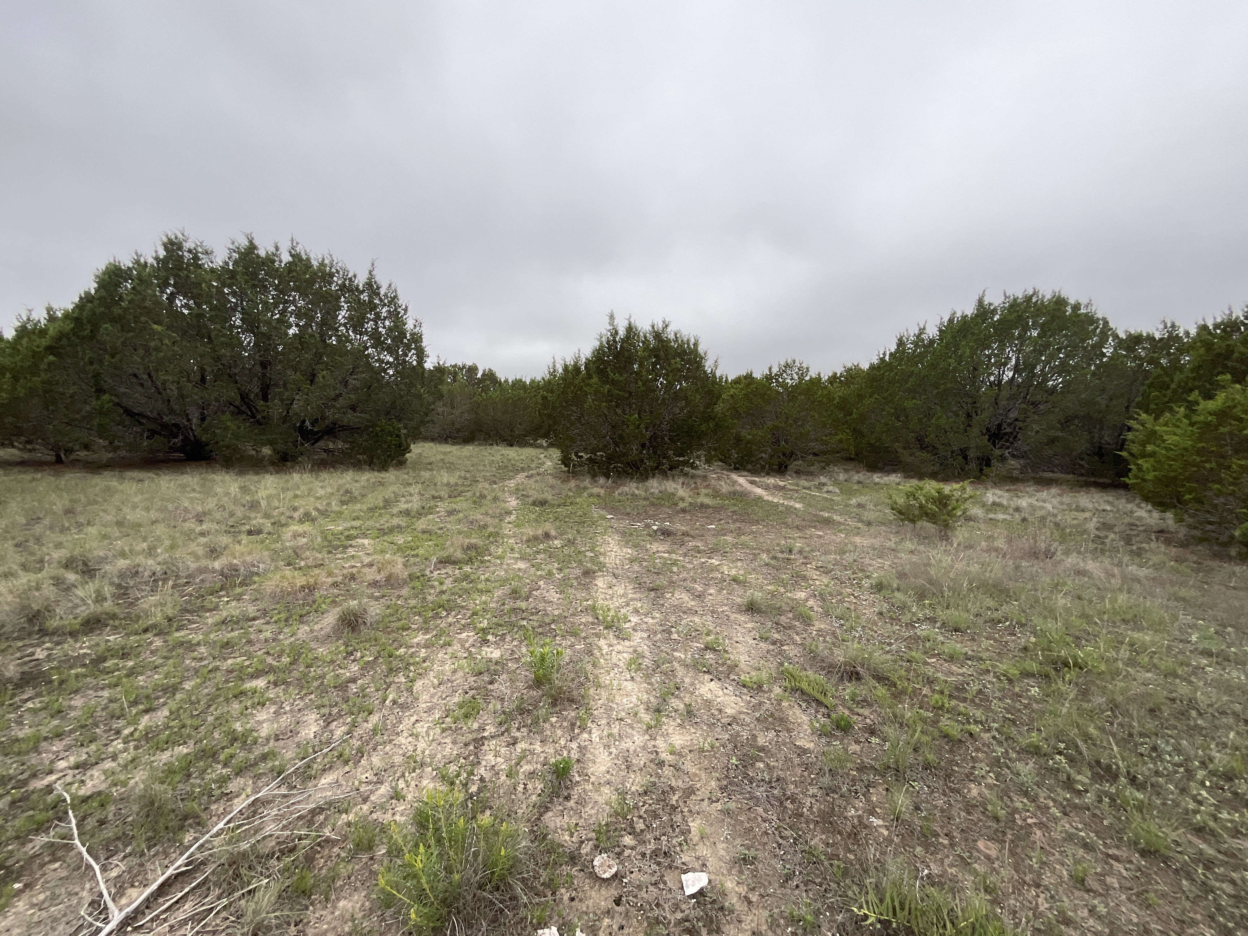 Tract Image - 12