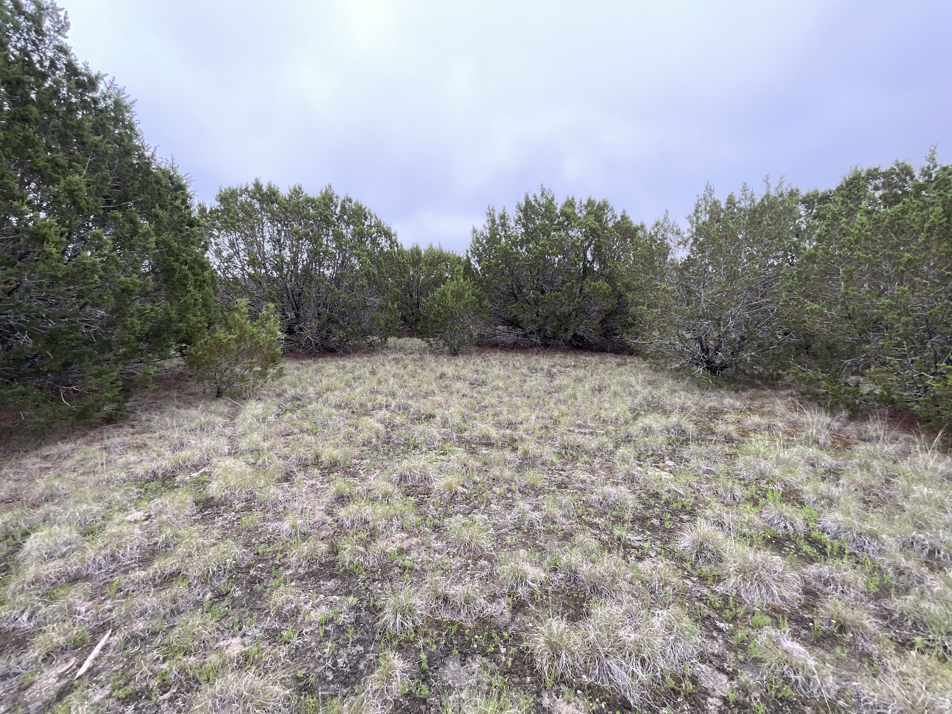 Tract Image - 13