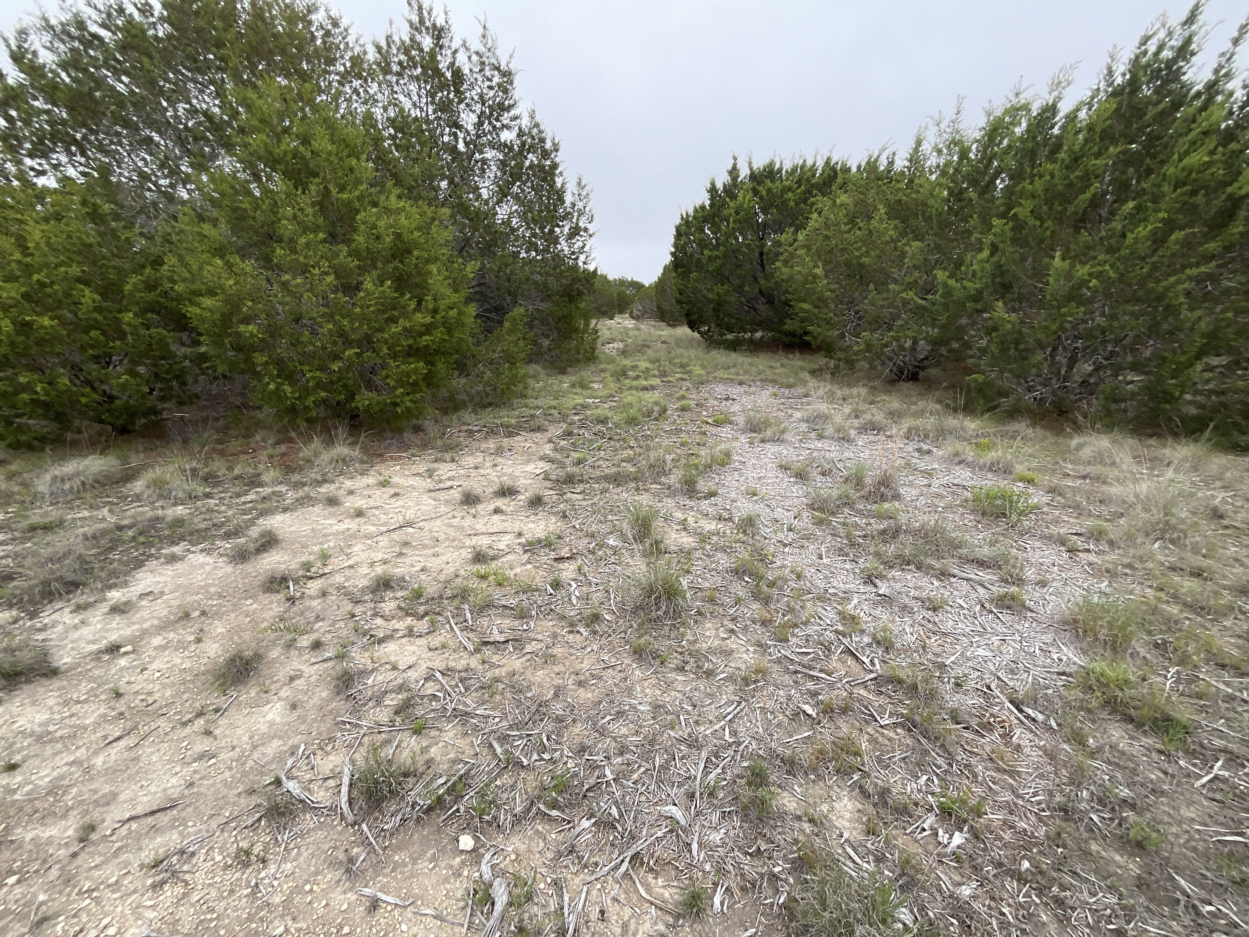Tract Image - 14