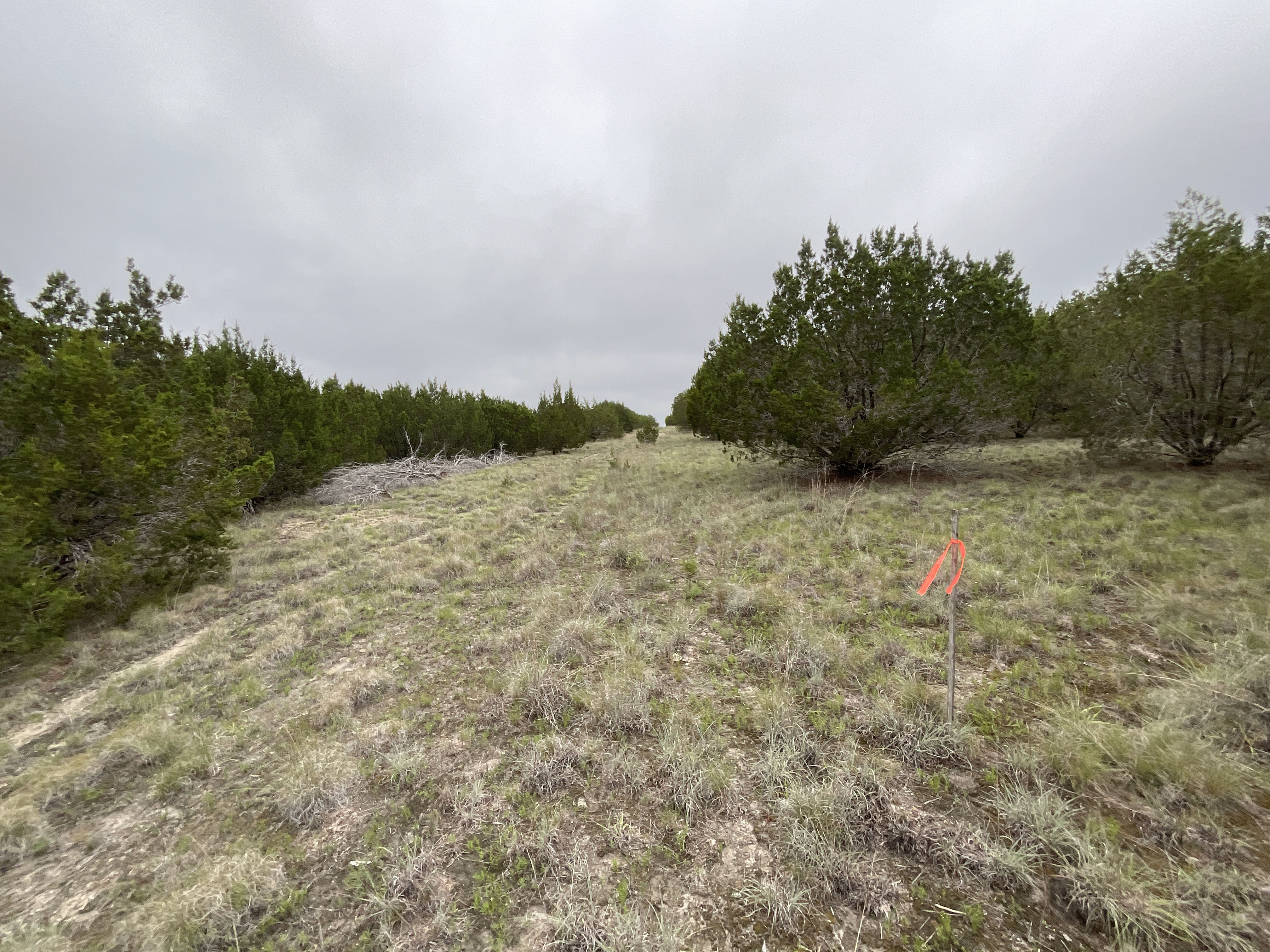 Tract Image - 15