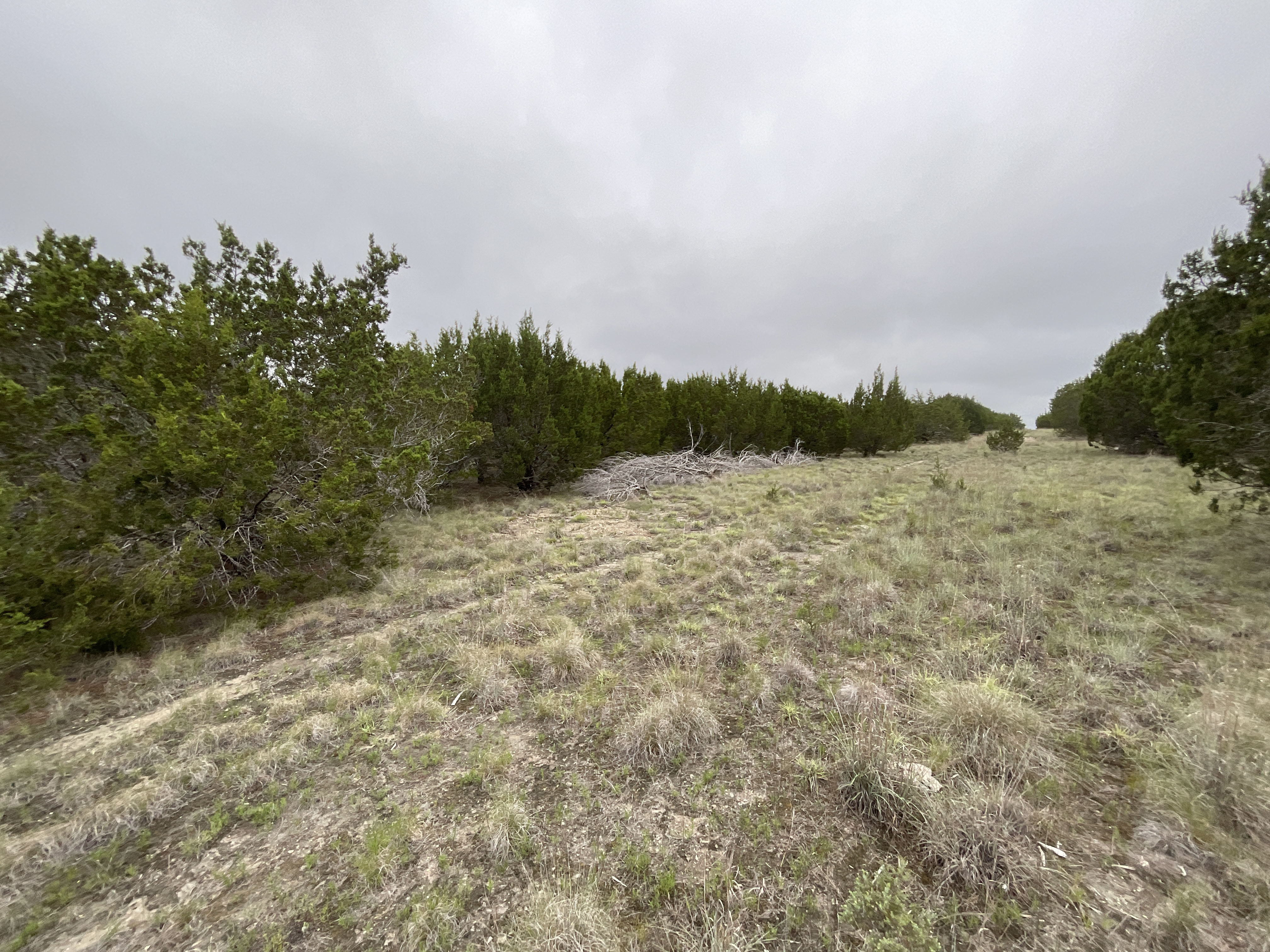 Tract Image - 17