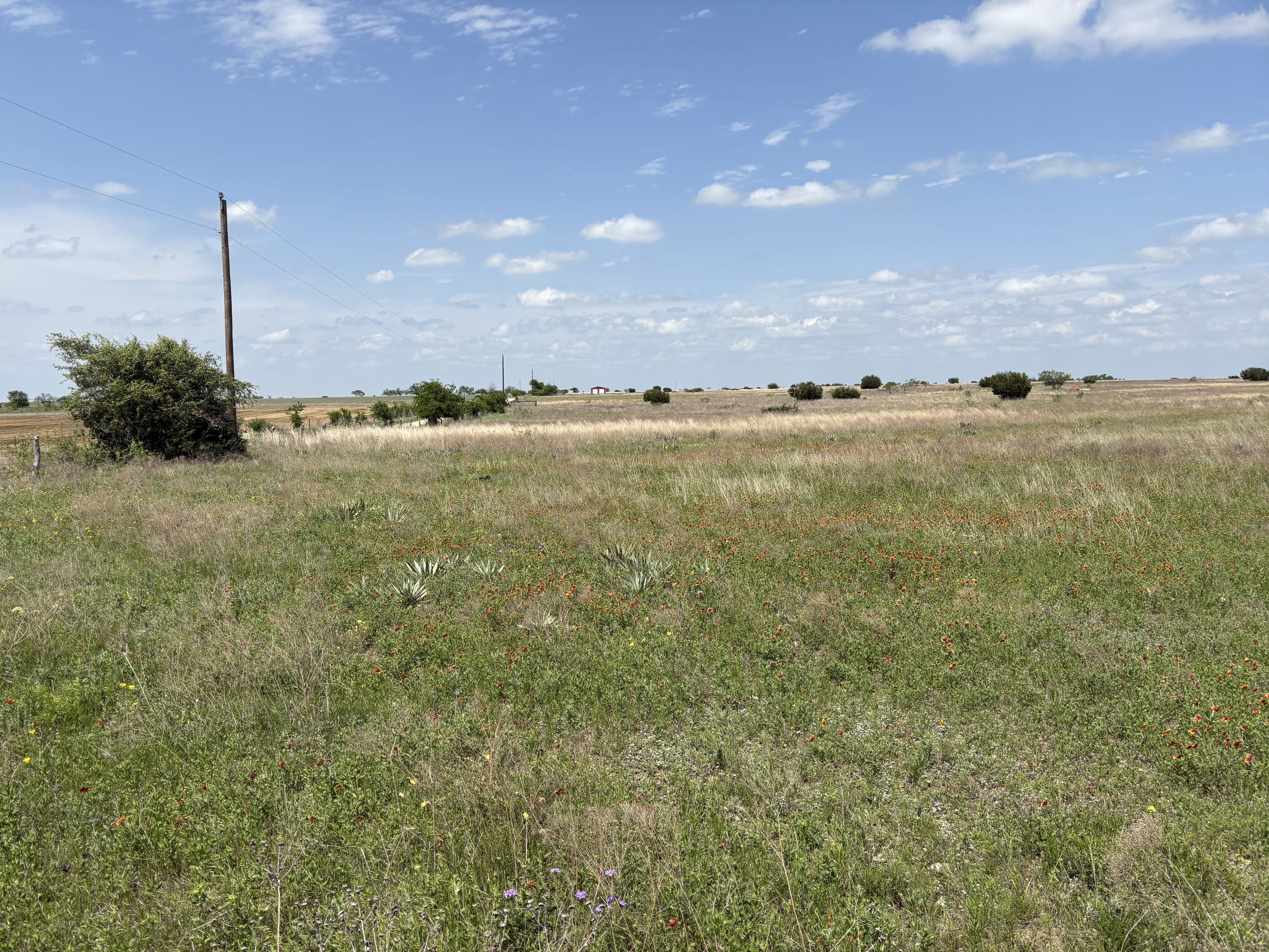 Tract Image - 3