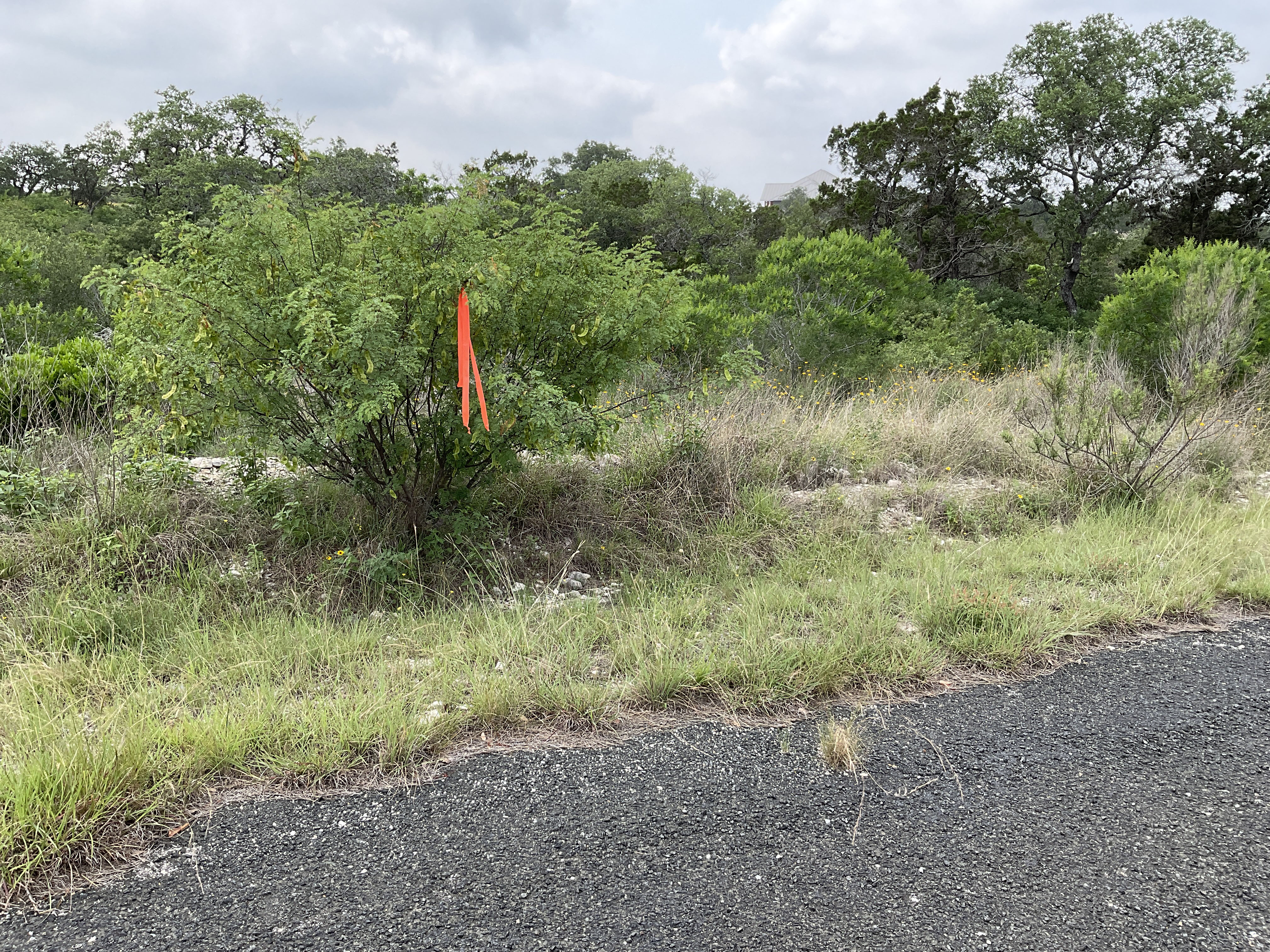 Tract Image - 2