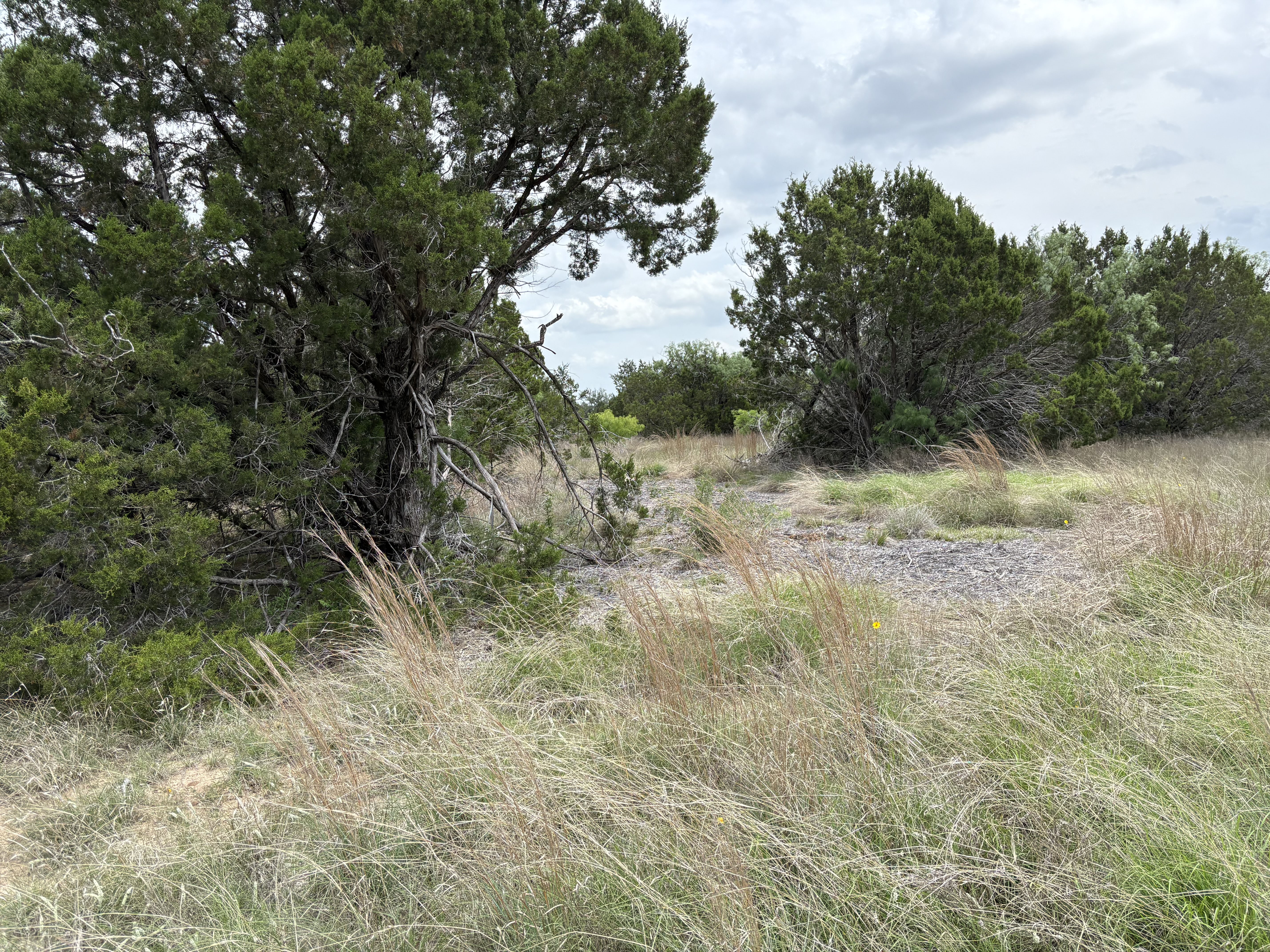 Tract Image - 1