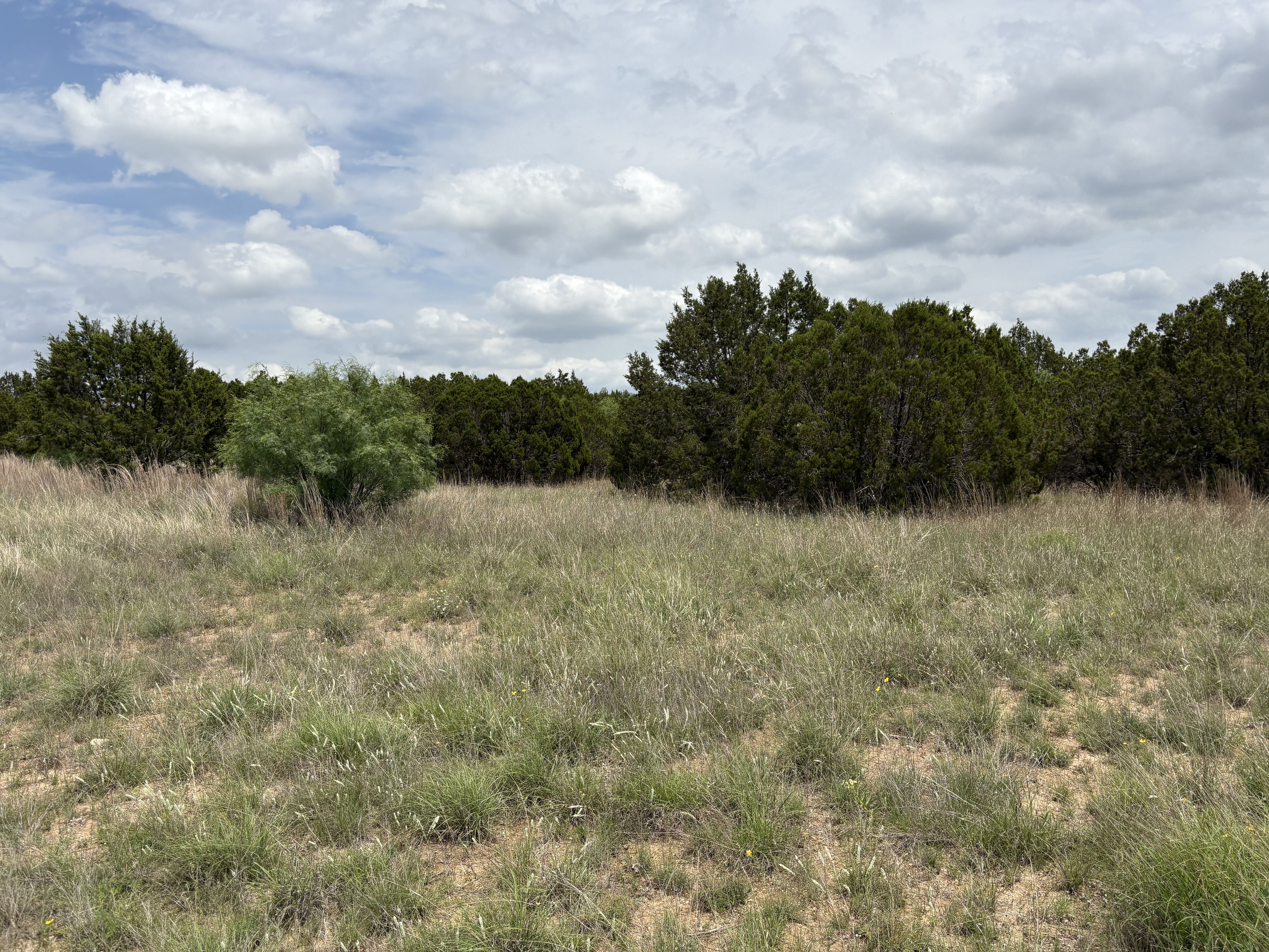 Tract Image - 2