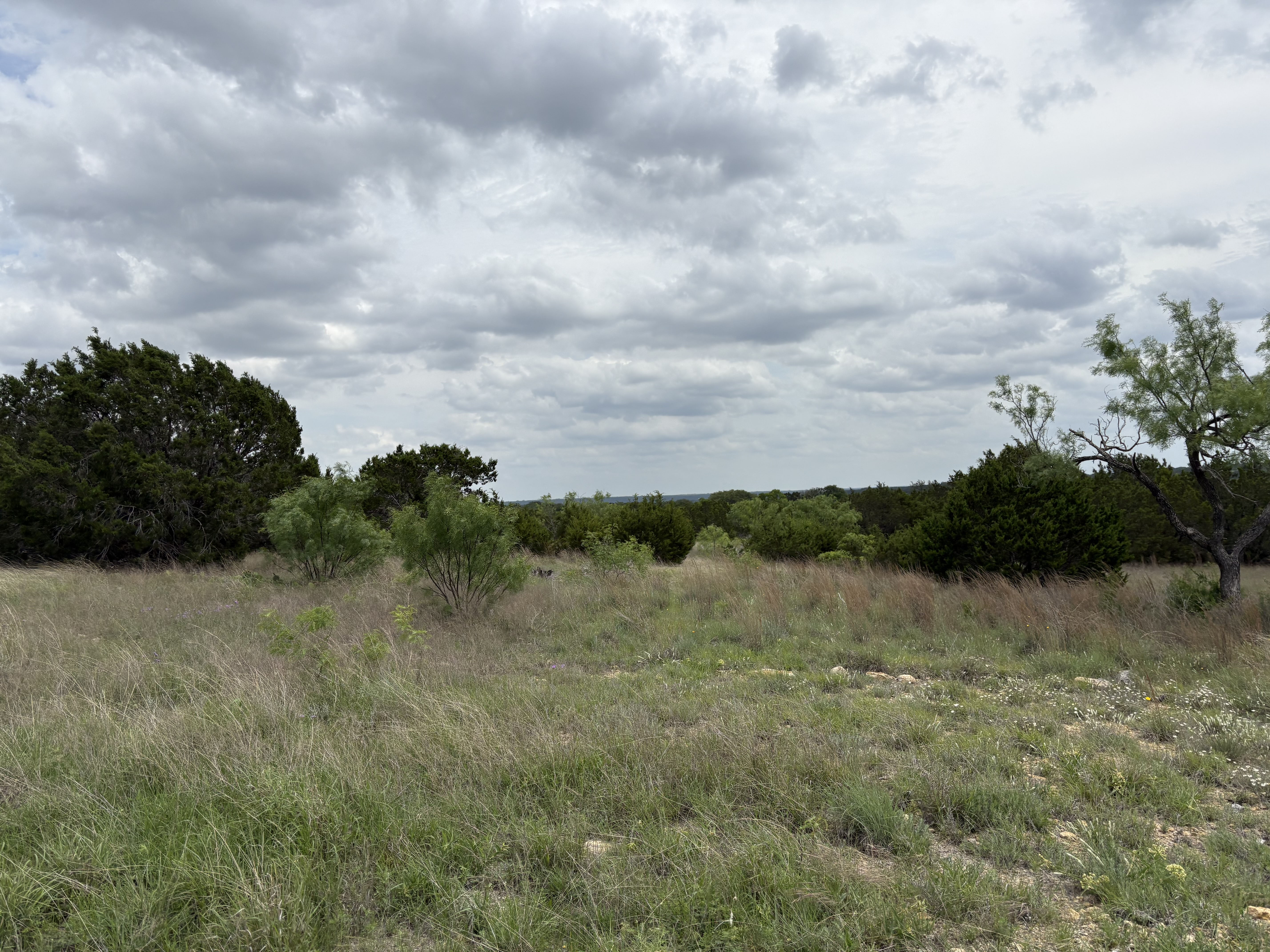 Tract Image - 5