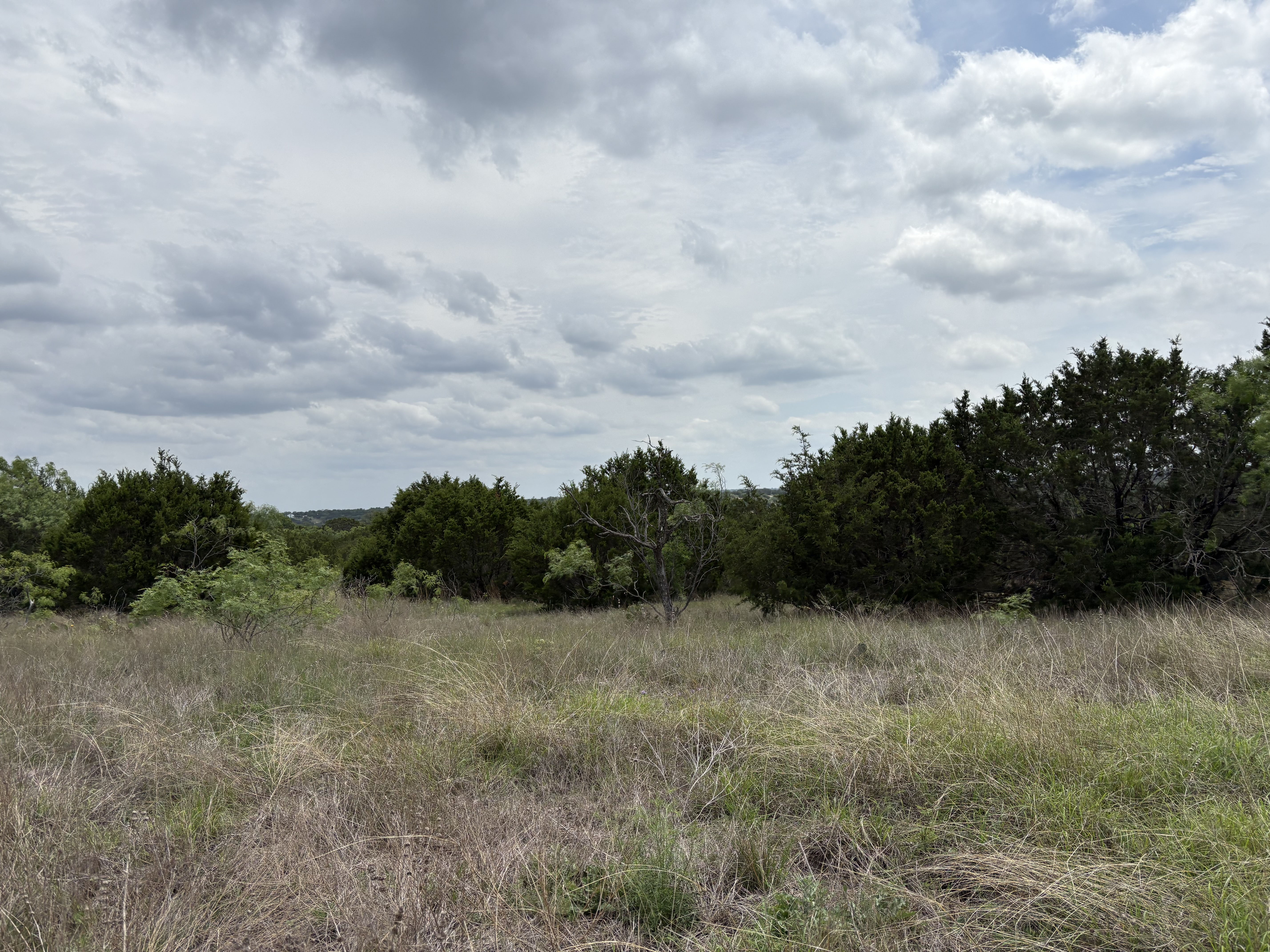 Tract Image - 7