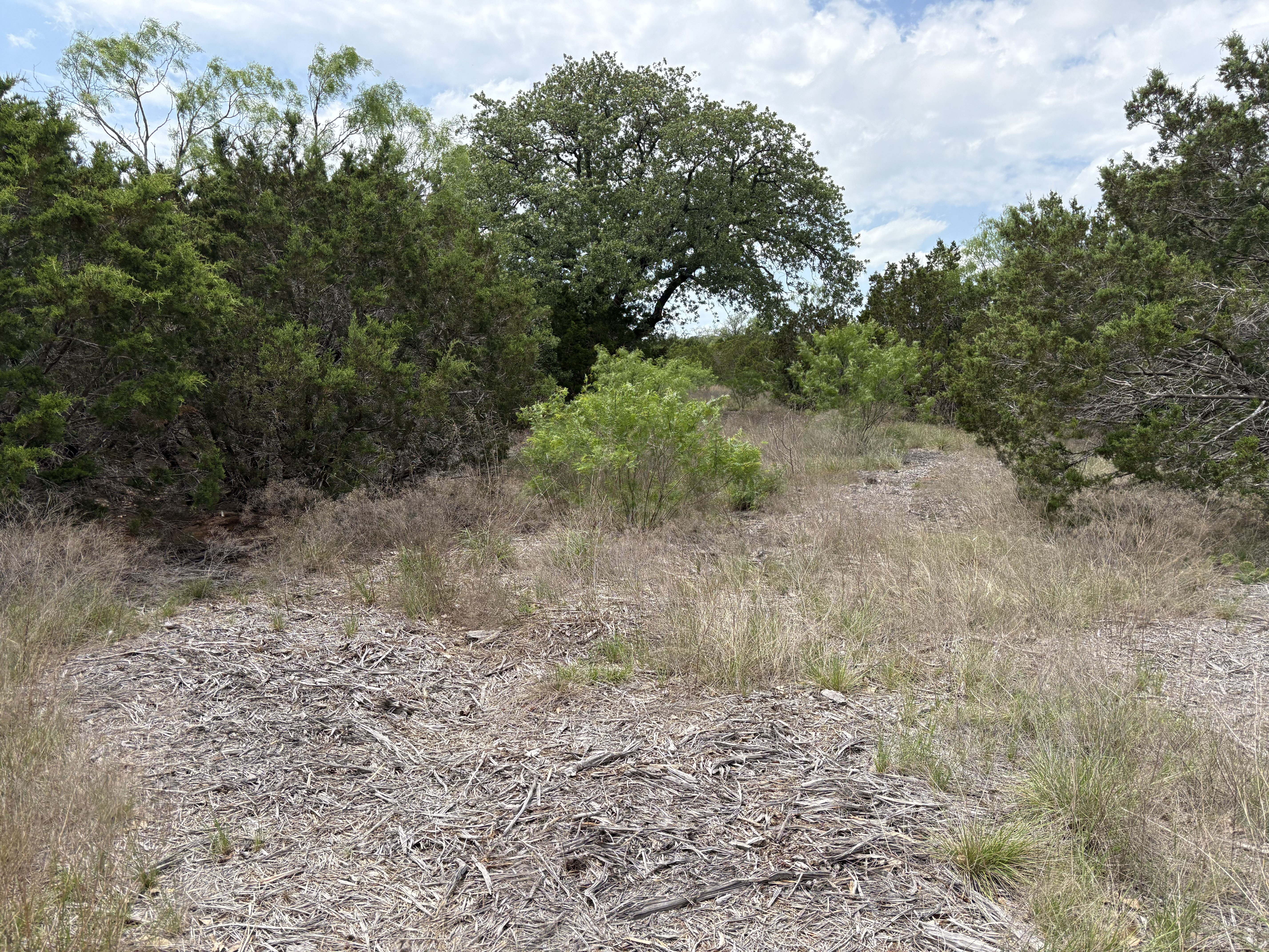 Tract Image - 10