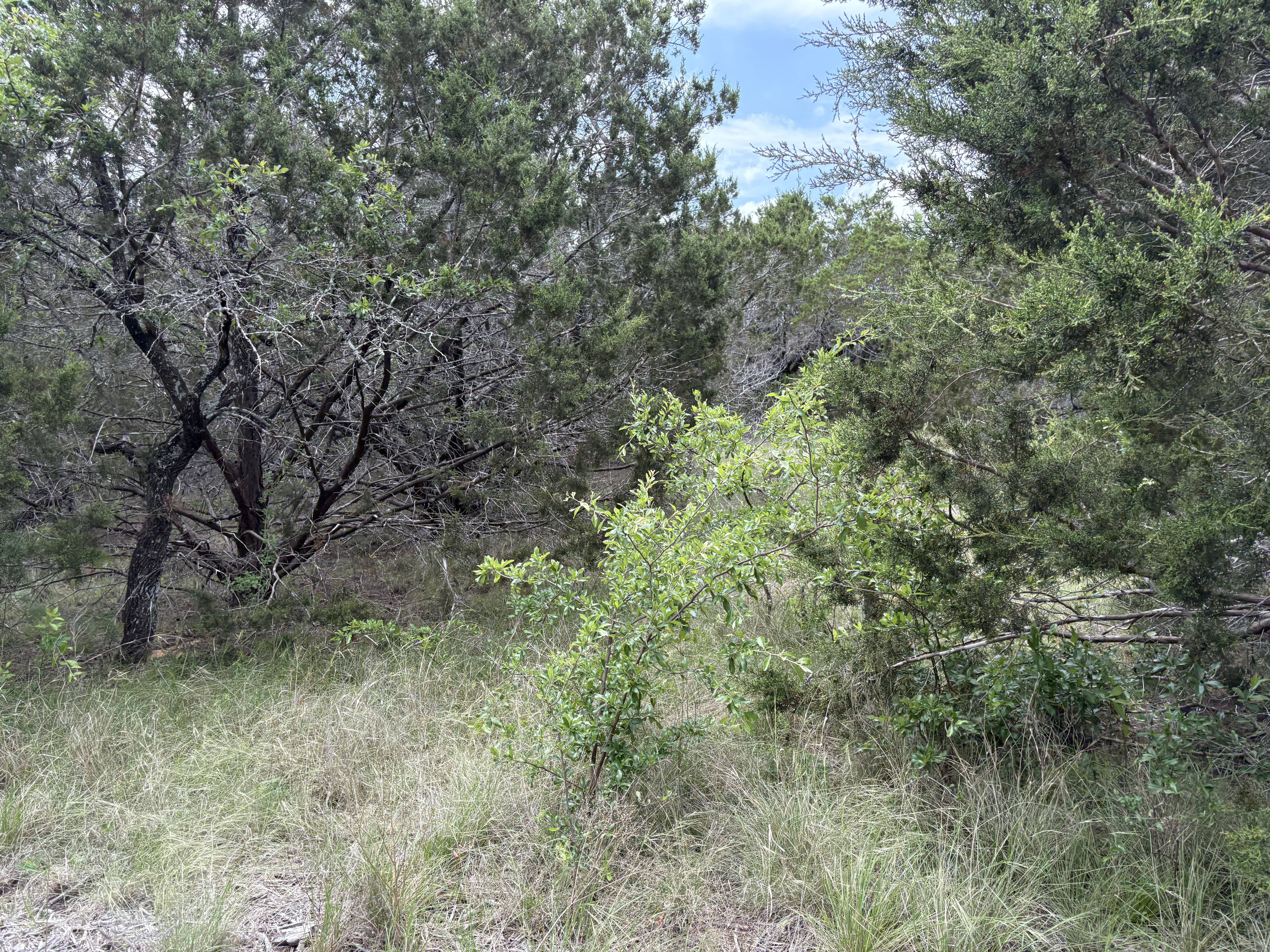 Tract Image - 11