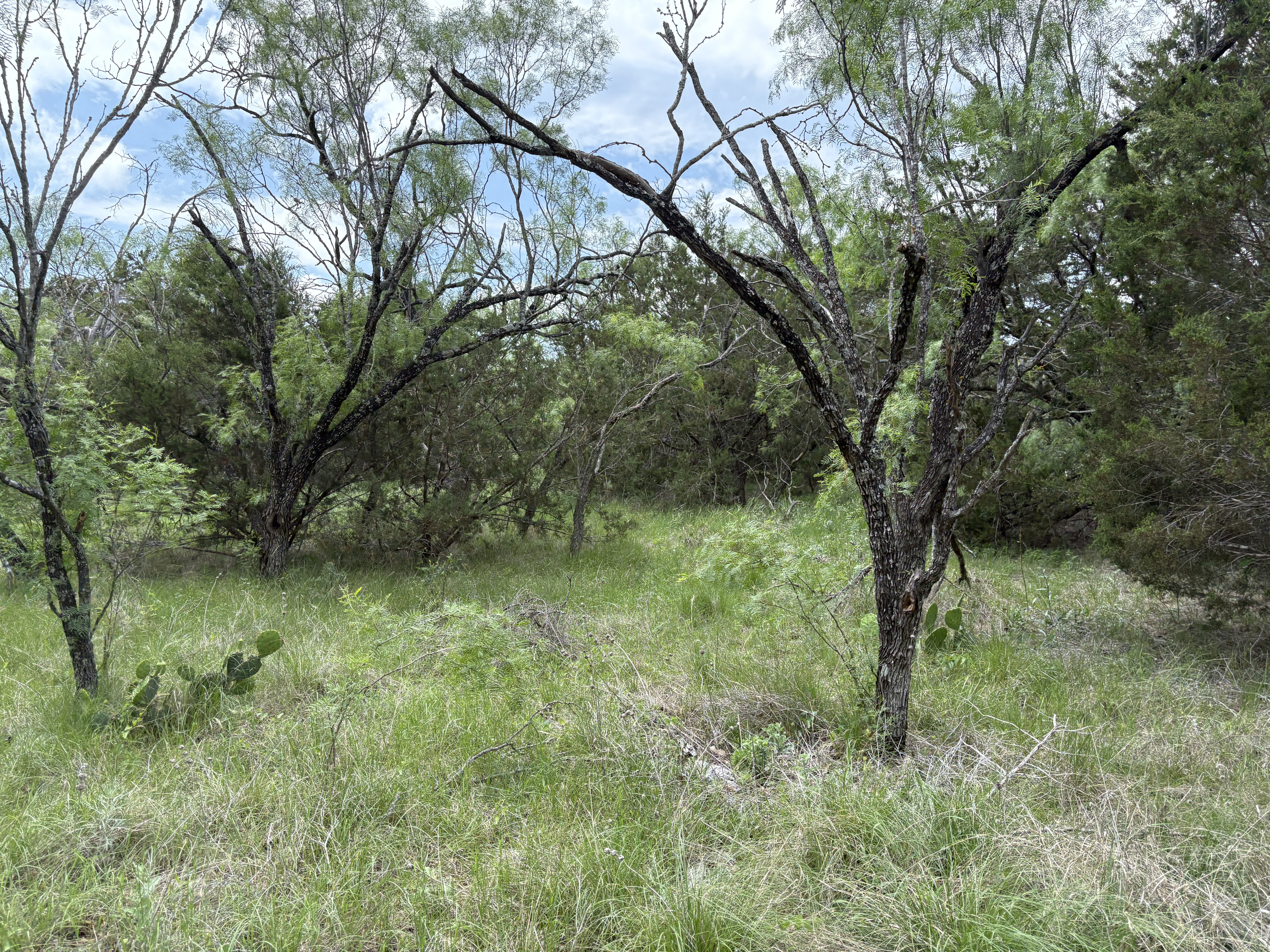 Tract Image - 12