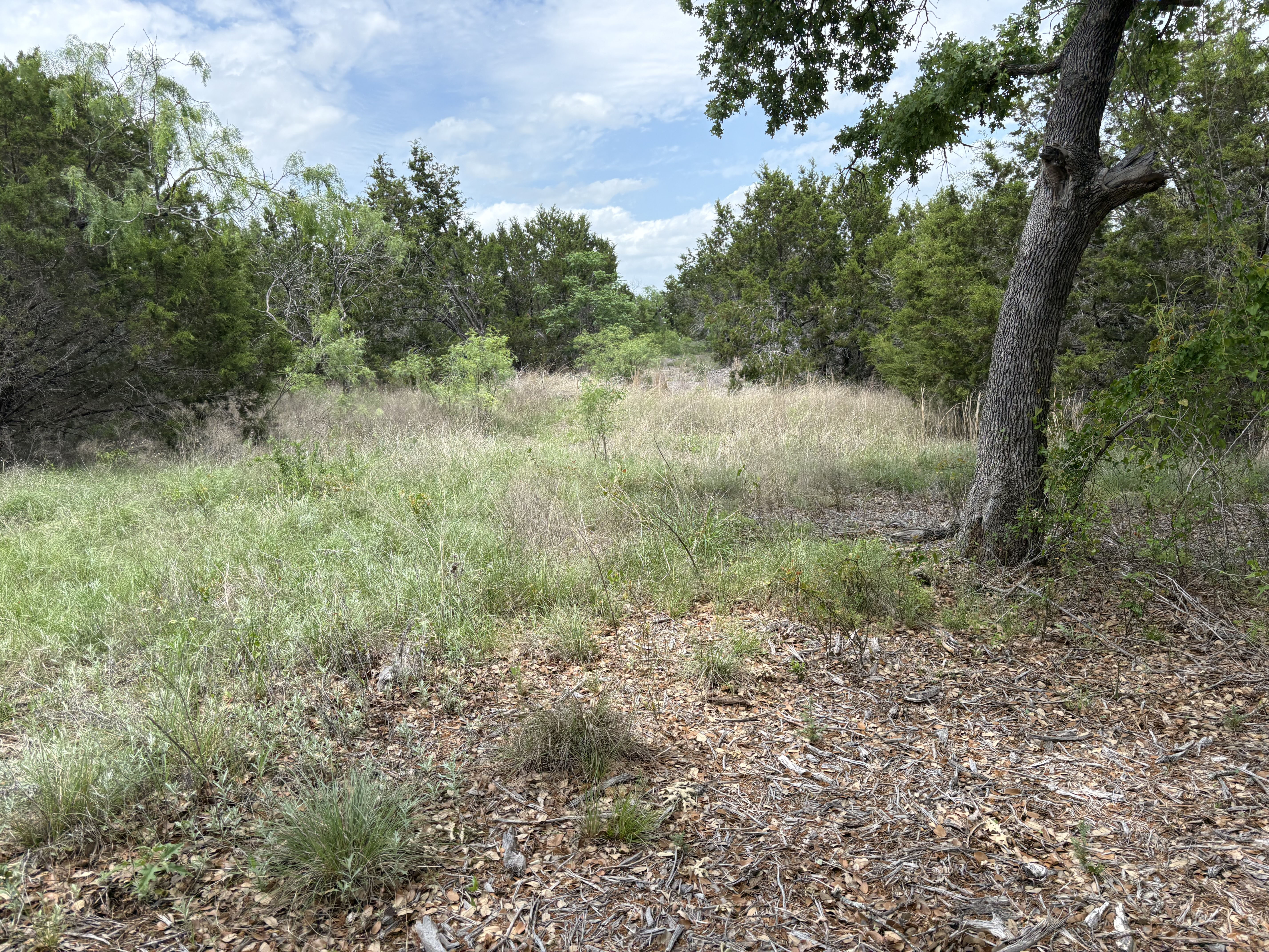 Tract Image - 13