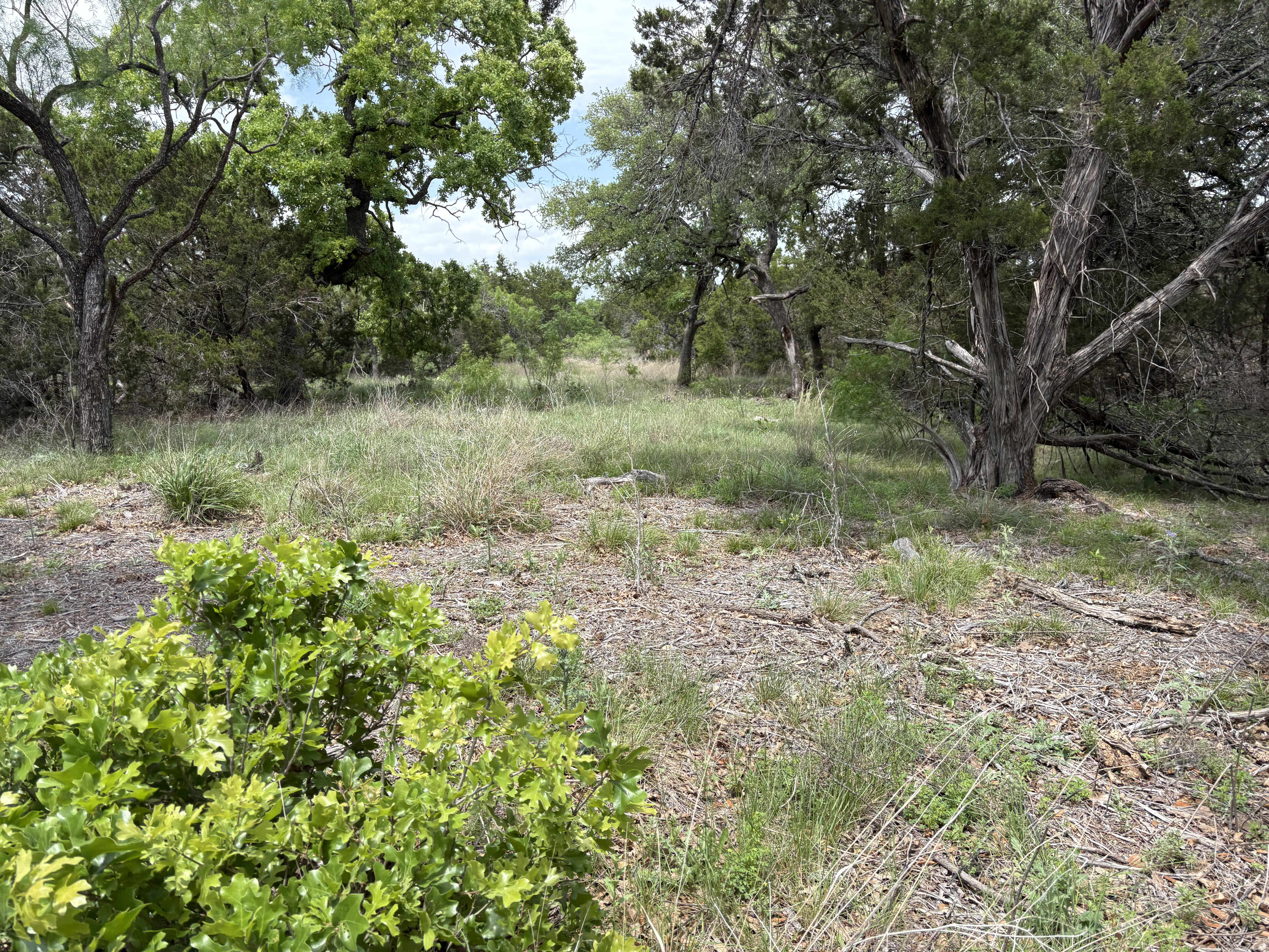 Tract Image - 14