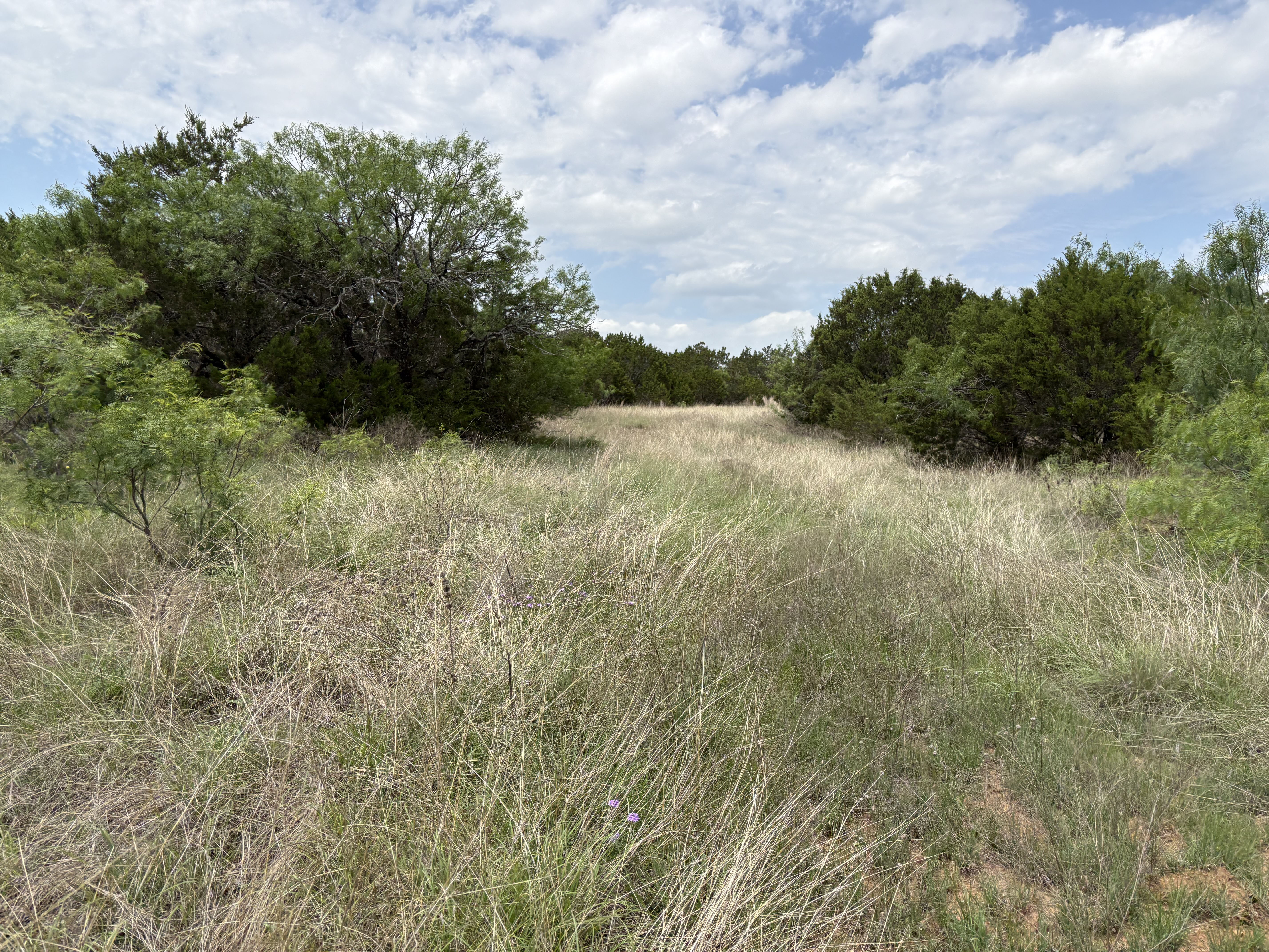 Tract Image - 15