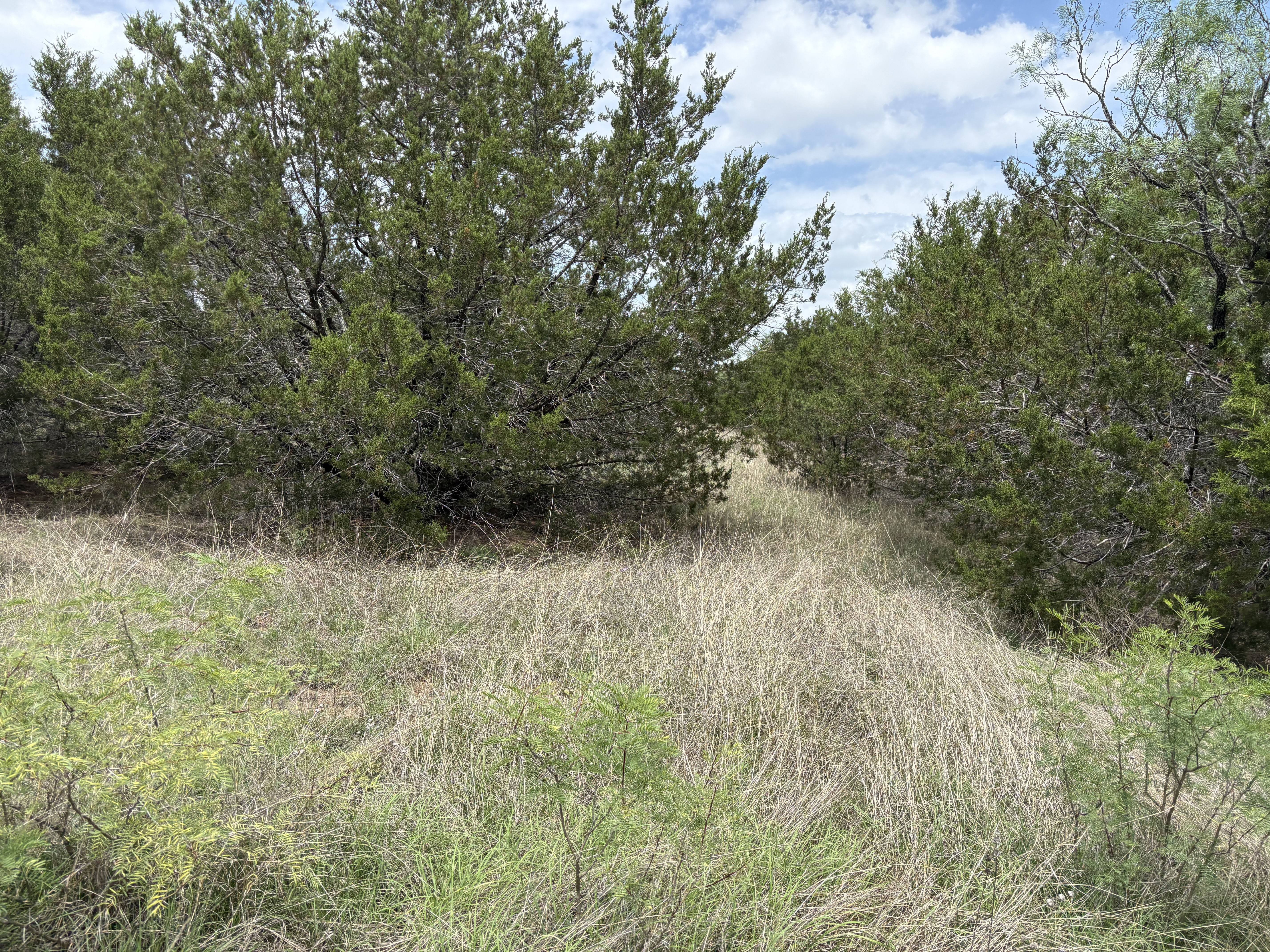 Tract Image - 16