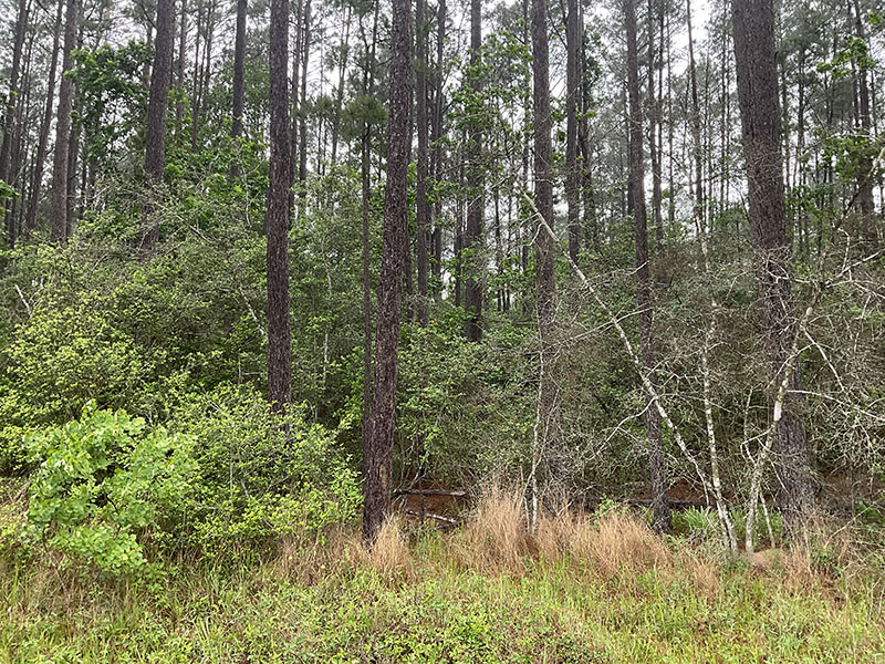 Tract Image - 1