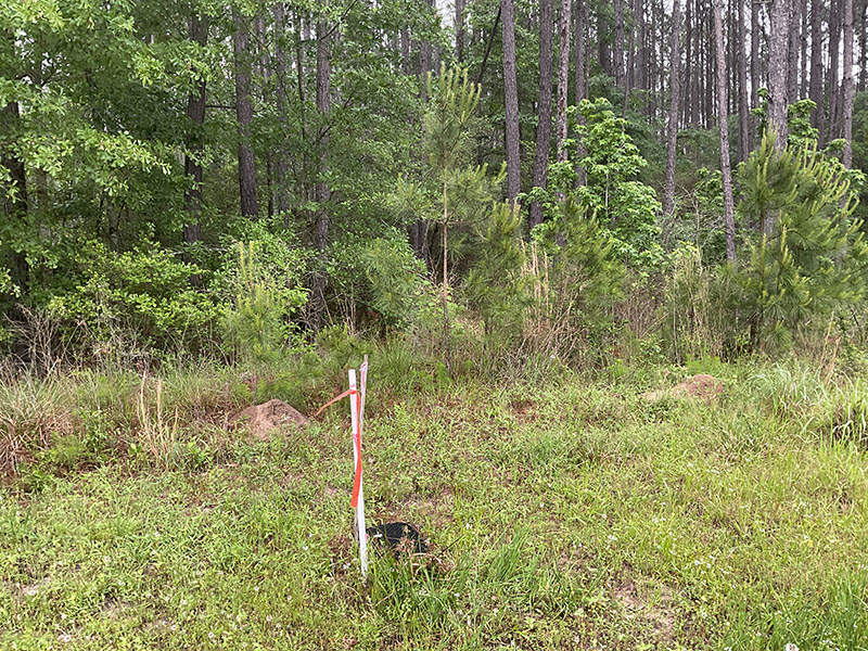 Tract Image - 3