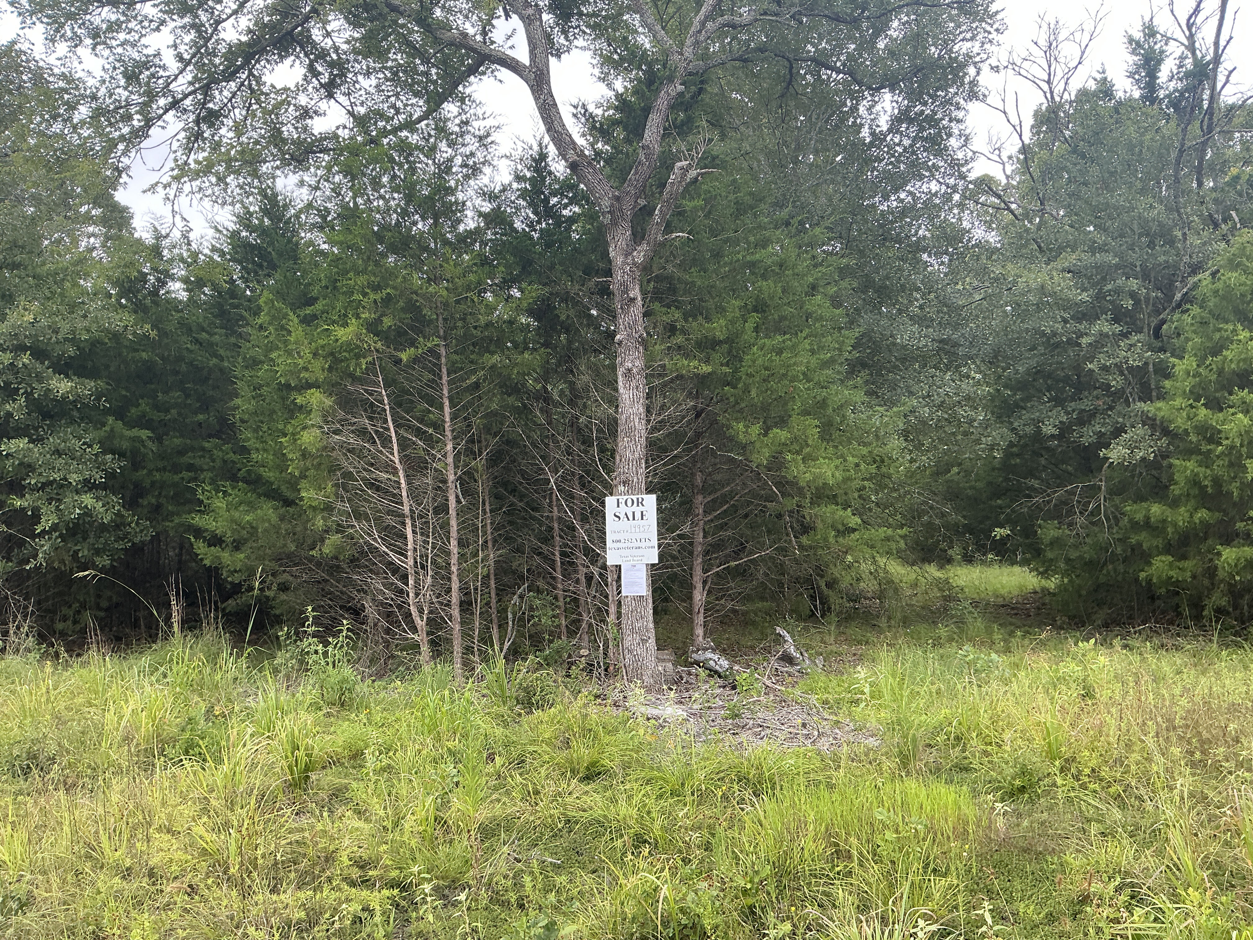Tract 14957