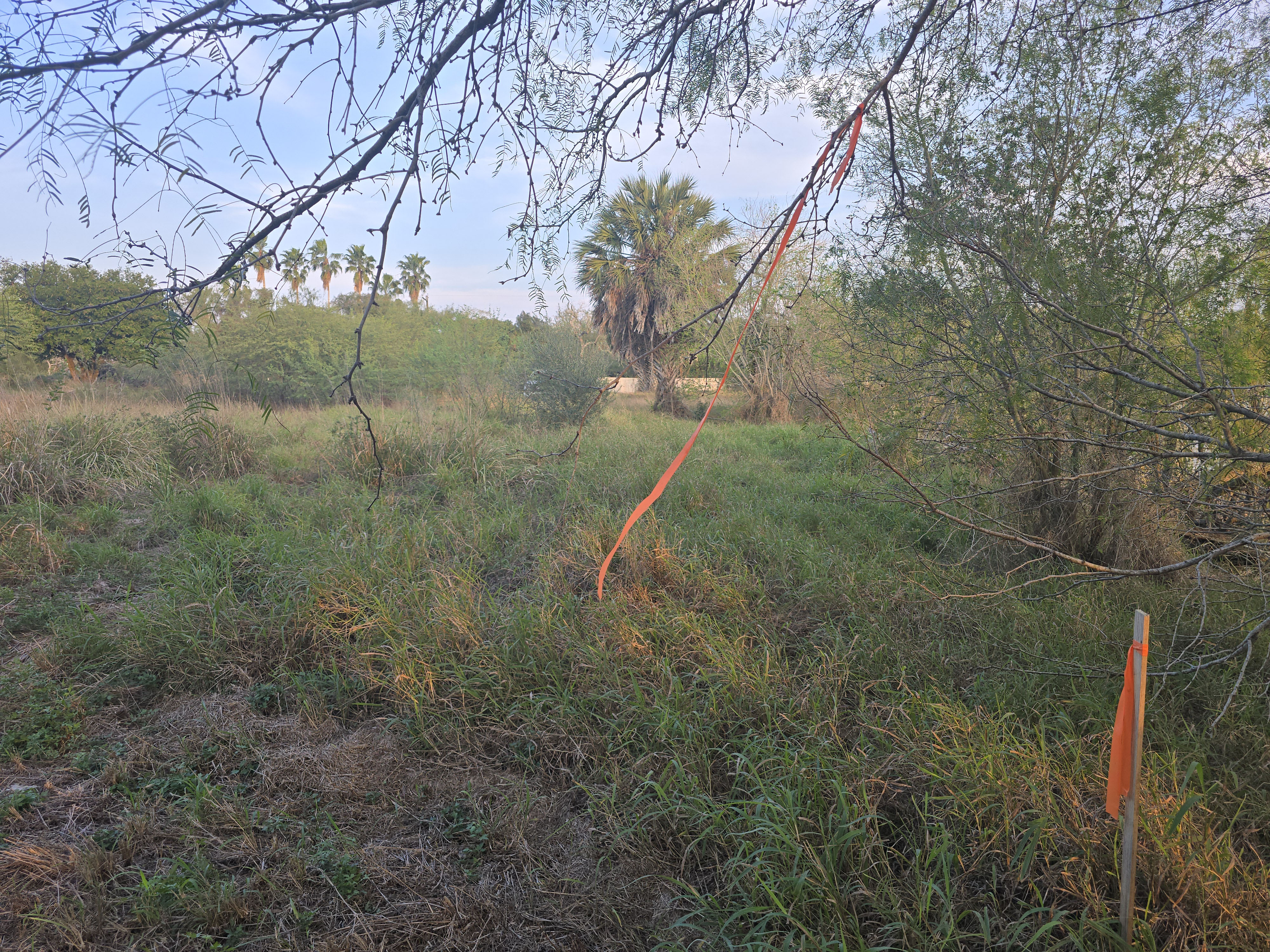 Tract Image - 7